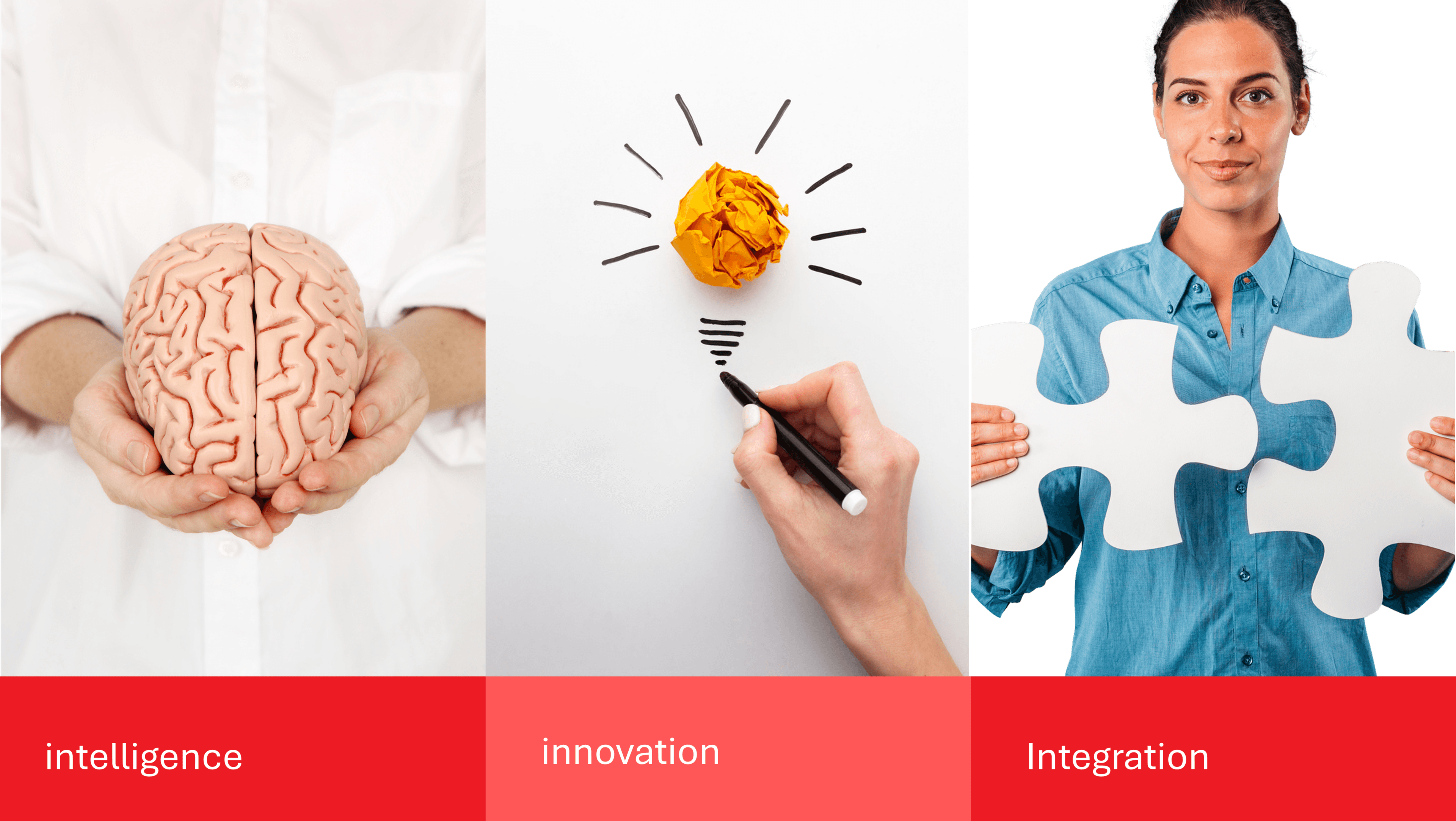 Our Triple- i Vision